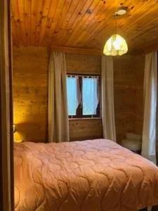 Maisons de vacances Maison charmante a Girmont-Val-d'Ajol avec vue sur la montagne : photos des chambres