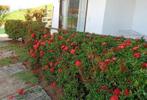 Flat em Pipa - Brisas do Amor