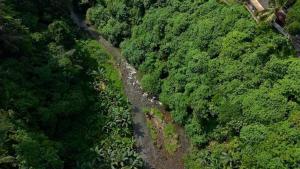 Sumeru Botanical Estate by LEAD Luxury