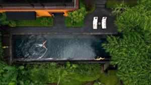 Sumeru Botanical Estate by LEAD Luxury