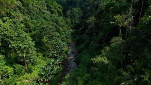 Sumeru Botanical Estate by LEAD Luxury