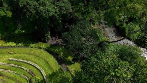 Sumeru Botanical Estate by LEAD Luxury