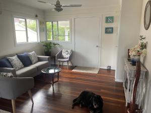 Pet friendly beachfront home- sleeps 8