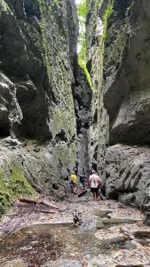 Lainkalogos Glamping