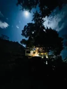 AVA tree house - Kudawe