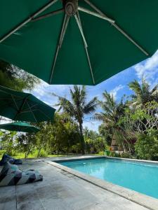 Apit Lawang EcoLodge Nusa Penida