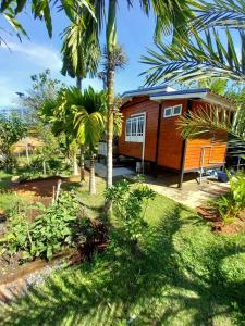 Lung Nui Dates Palm Farm