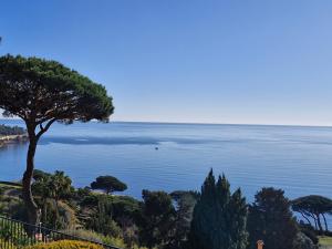 Appartement 3 pièces avec Wifi et terrasse à Sainte-Maxime - FR-1-780-91