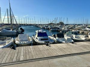 Appartements Appartement T2 climatise avec balcon et parking a La Londe - FR-1-826-1 : photos des chambres