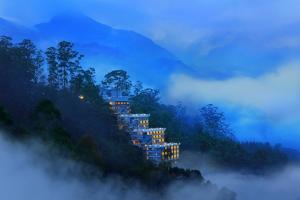 Chandys Windy Woods Munnar