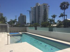 Verve on Cotton Tree