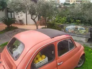 Il Giardino di Galatea - 特雷卡斯塔尼