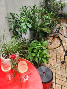 Disco PangPang GuestHouse 외국인전용