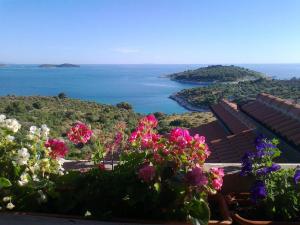 Amazing view with swimingpool House Panorama