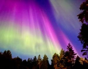 Lapland Landscape XL Cabin with Nature View, Sauna, Fireplace & Kitchen, Sodankylä, Luosto, Fell Village