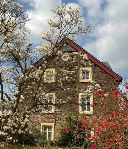 Neu!!! Moselbleibe Altes Forsthaus - 贝尔恩卡斯特尔-库斯