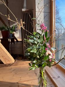 Ielejas A place for cool living