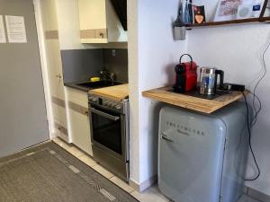 House St-George Studio Alpine with terrace and view on village