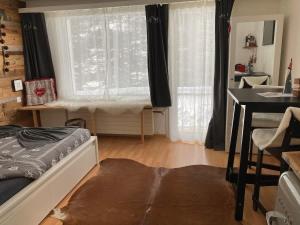 Studio Chalet with terrace & Matterhorn view