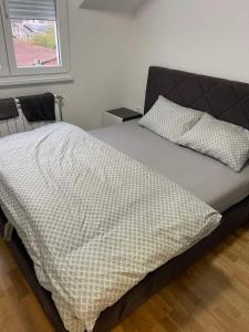 Stan na dan Veternik