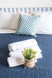 Homey Experience - Emerald Valley
