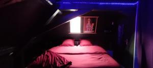 Appartements LoveRoom theme cinema : photos des chambres