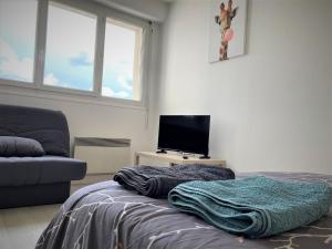 Appartements Appartement double 13 a Limoges : photos des chambres