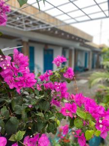 Thuy Tien Mui Ne Homestay BBQ Free