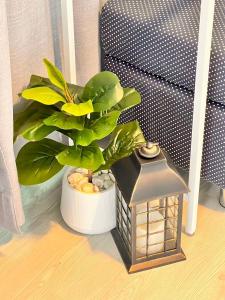 Triple J hotel Trang