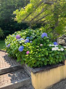 Holiday Home Villa Salici, pool & garden