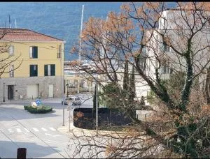 Zdravka - Дженовічі