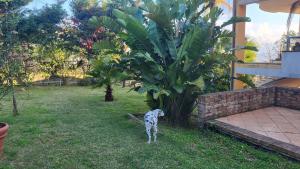 Guest House Franco