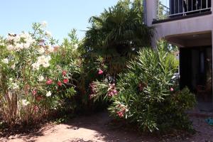 Shoreline Serenity Apartment