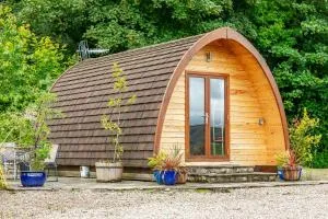 Willow Tree Pod - 利文斯