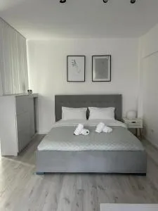 Best Value Studio Primavara, Free Parking - Clinceni