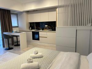 Best Value Studio Primavara, Free Parking