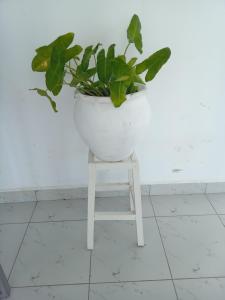 Eden Breeze Appartments