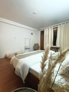 Farm Hostel & Camps