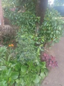 Centurion Villa Guesthouse - Eldoraigne