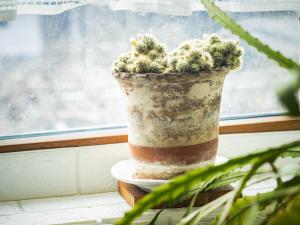 Стаи за гости Божана