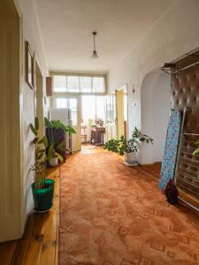 Стаи за гости Божана