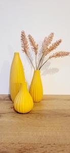 Between the Castle and the Town Hall