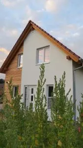 Am Nationalpark - Kinnbackenhagen