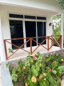 Birds of paradise homes 1