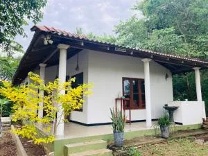 Oasis Udawalawa - Weerawila