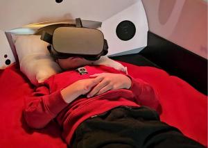 Maisons de vacances Bien-etre & Spa privatif - Spa de nage, sauna, lit hydromassant & relaxation Immersive : photos des chambres