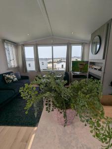 BEAUTIFULLY PRESENTED DOG FRIENDLY CARAVAN on VERY POPULAR LITTLESEA HOLIDAY HAVEN PARK WEYMOUTH