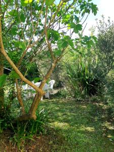 Calmos Cottage