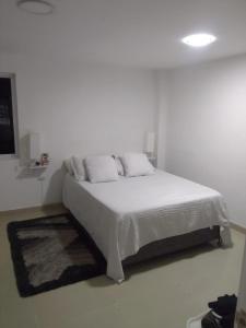 Valasiuk sede Barzal