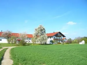 Ferienhof Steinberger - Engelsberg